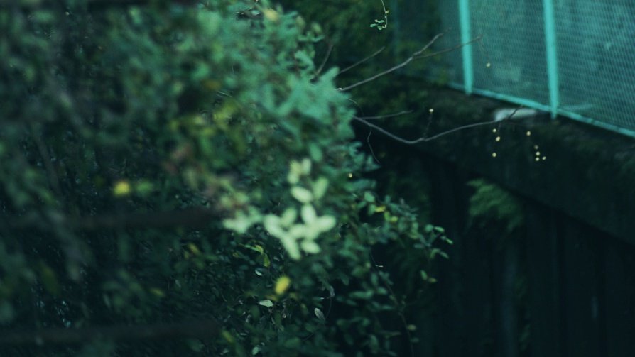 彩川 菜々ฅ'' tweet media