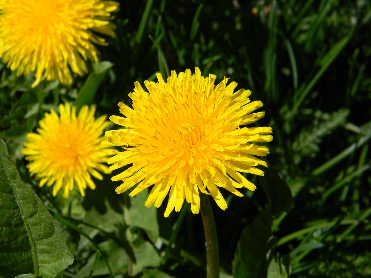 RealityDesignz's tweet image. The sound of my heartbeat was loud in the quiet room 💓💗