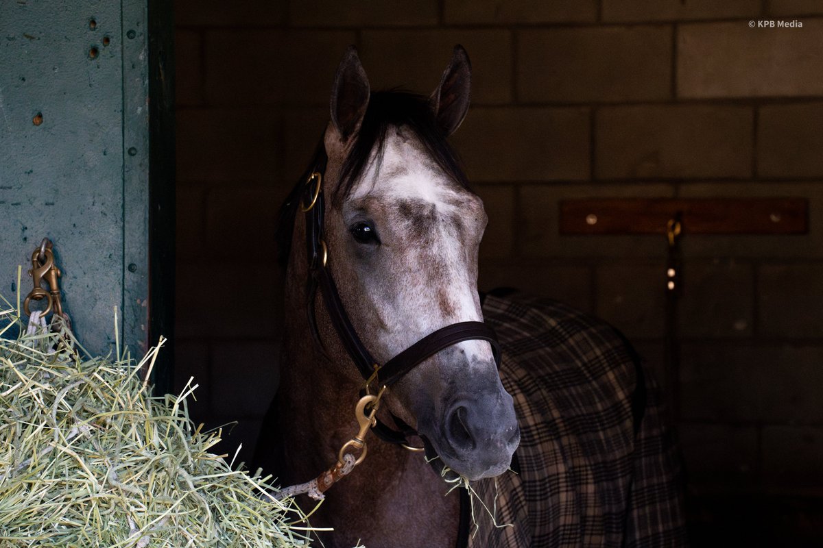 Champs of the Track tweet media