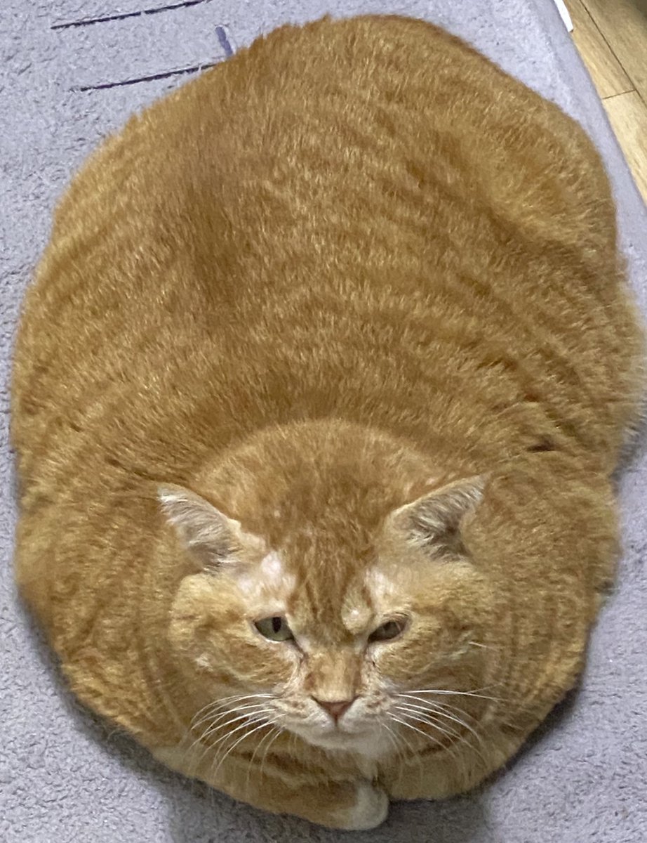 어제 마트가서 김냄비 봄