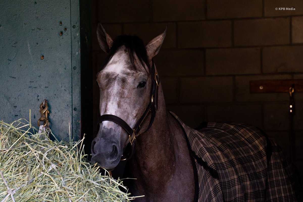 Champs of the Track tweet media