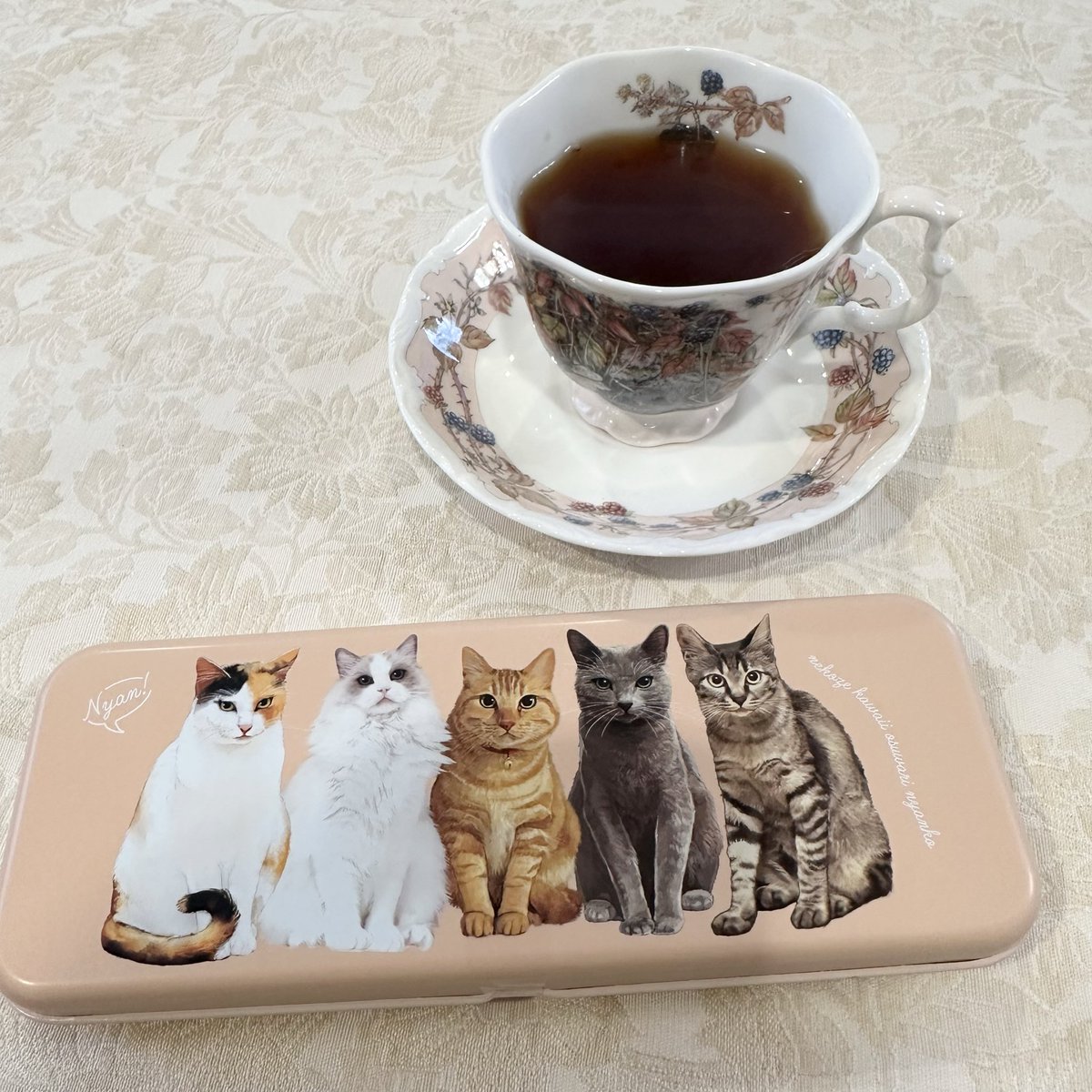 hanapina's tweet photo. かわいい🐈 https://t.co/ERDHu7DqTH