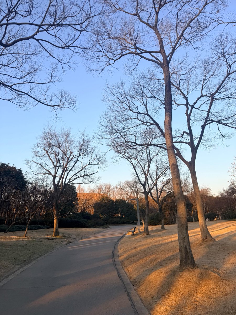 RunCollar7's tweet image. 土曜日の朝は少し静かでした。今日は走っている人はあまりいませんでした