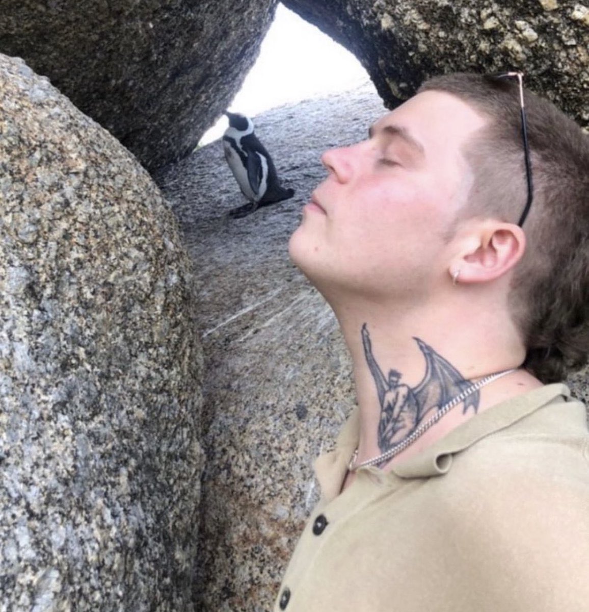 lauren 🪲 tweet media