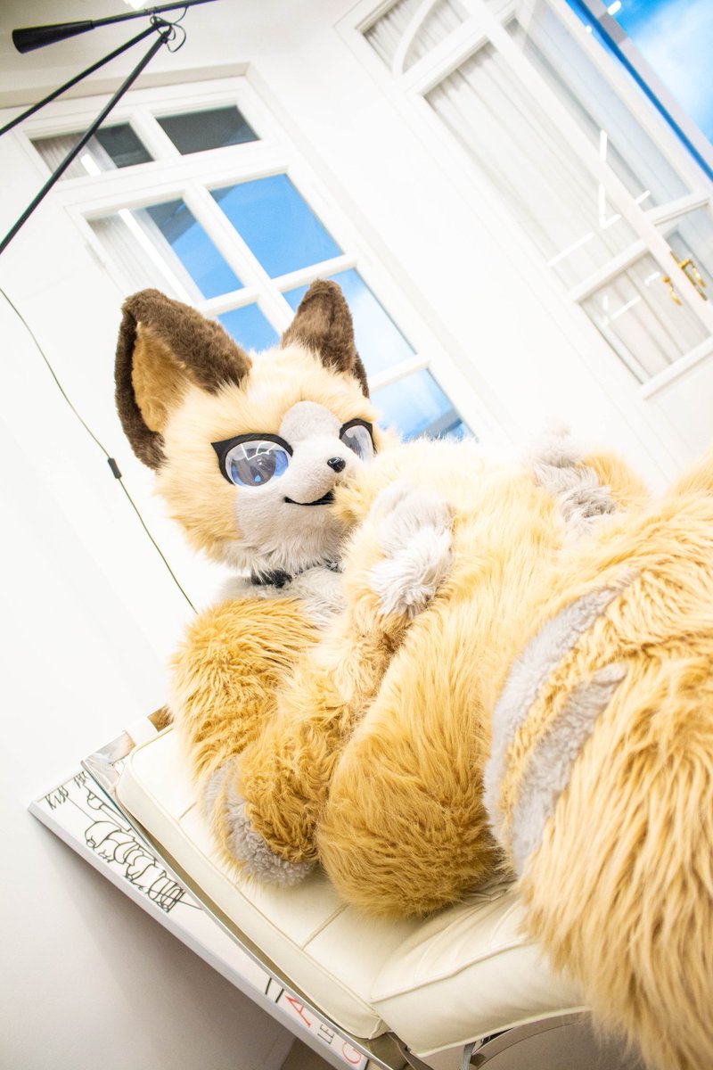 shellpwe's tweet image. #fursuit #furry #着ぐるみ

📸 : @halfcat0715