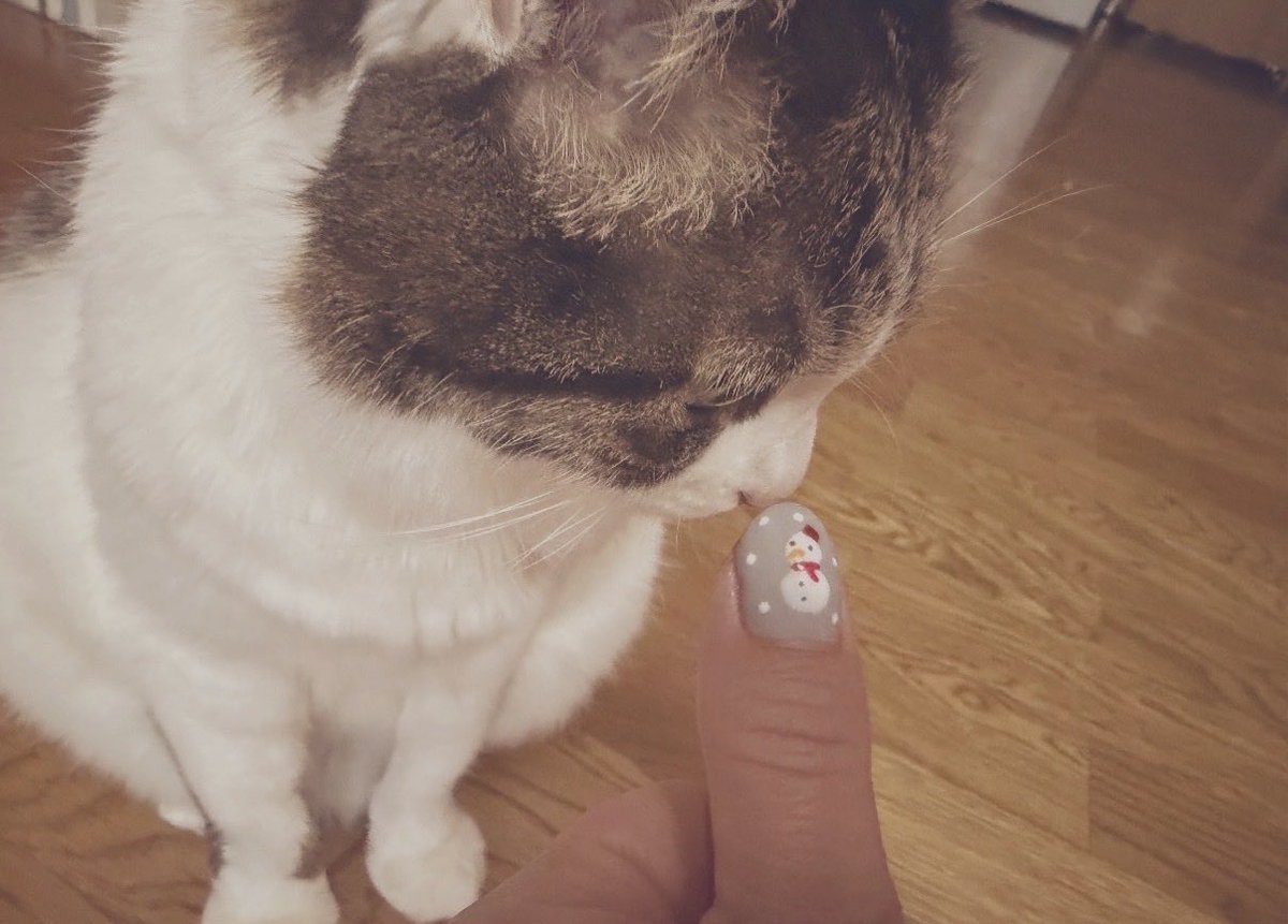 雪だるま書いてみた⛄️
明日からまた寒いなんて🐱