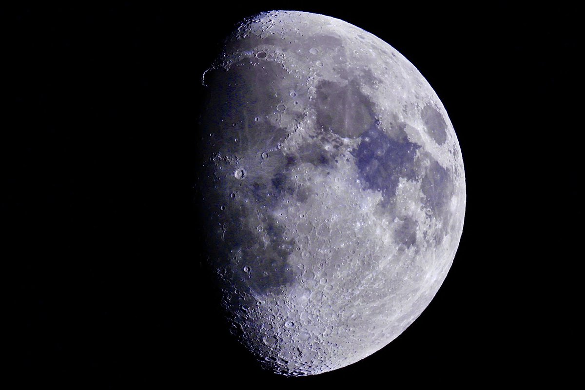 Matt #NFTNYC2024 tweet media