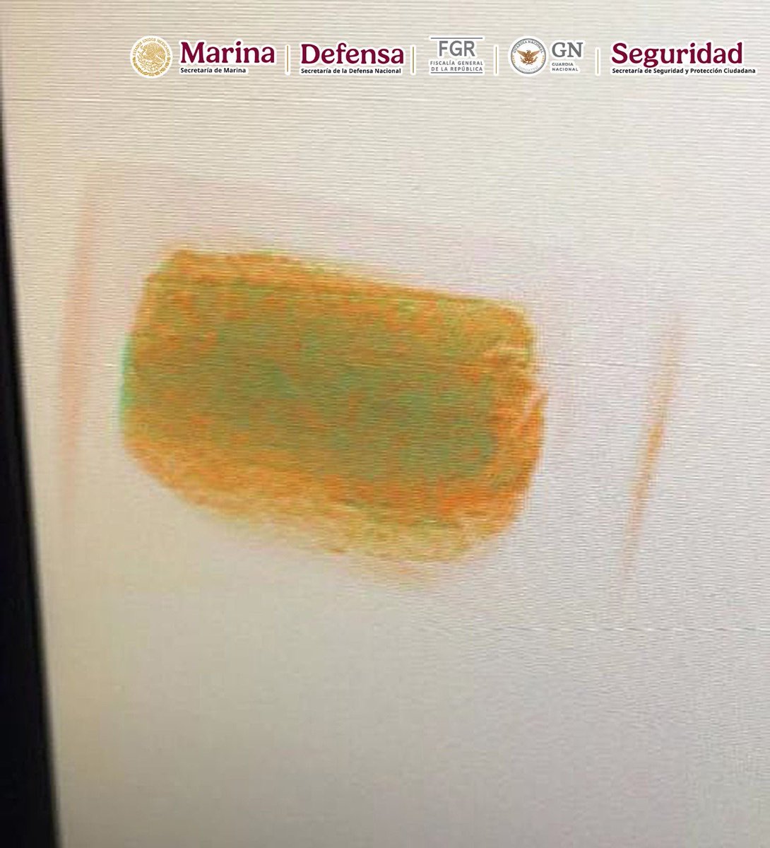 Michelle Rivera tweet media