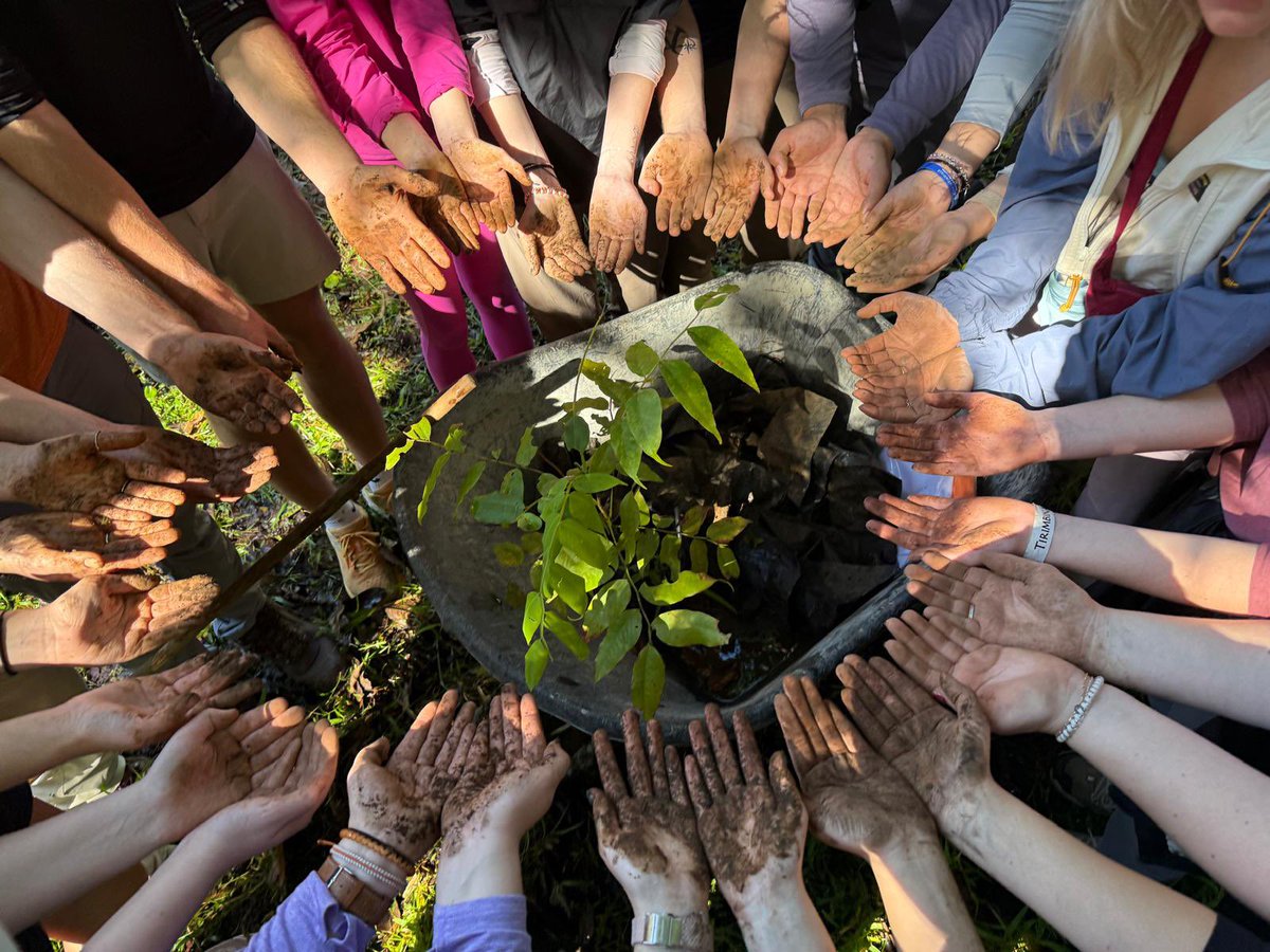 Dr. Denita Hadziabdic Guerry tweet media