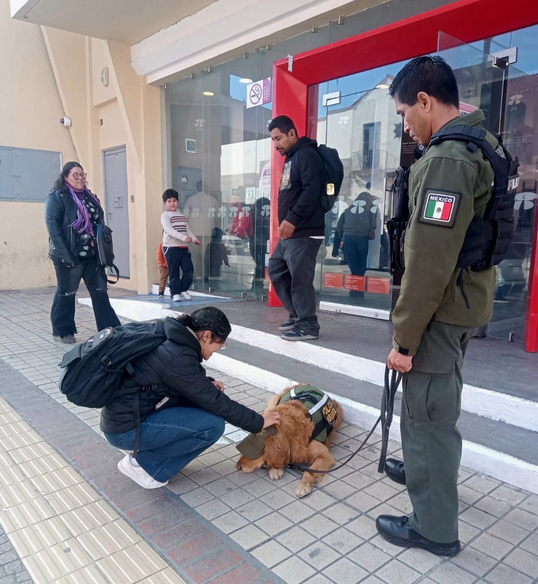 Apoyados por binomios caninos, elementos de la Comisaría de Seguridad y Protección Ciudadana refuerzan la seguridad en zonas bancarias y cajeros de distintos puntos de la ciudad, para fortalecer la prevención y la tranquilidad de las y los saltillenses.
#PorAmorASaltillo