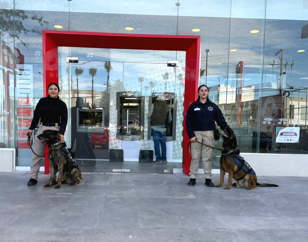Comisaría de Seguridad y Protección Ciudadana tweet media