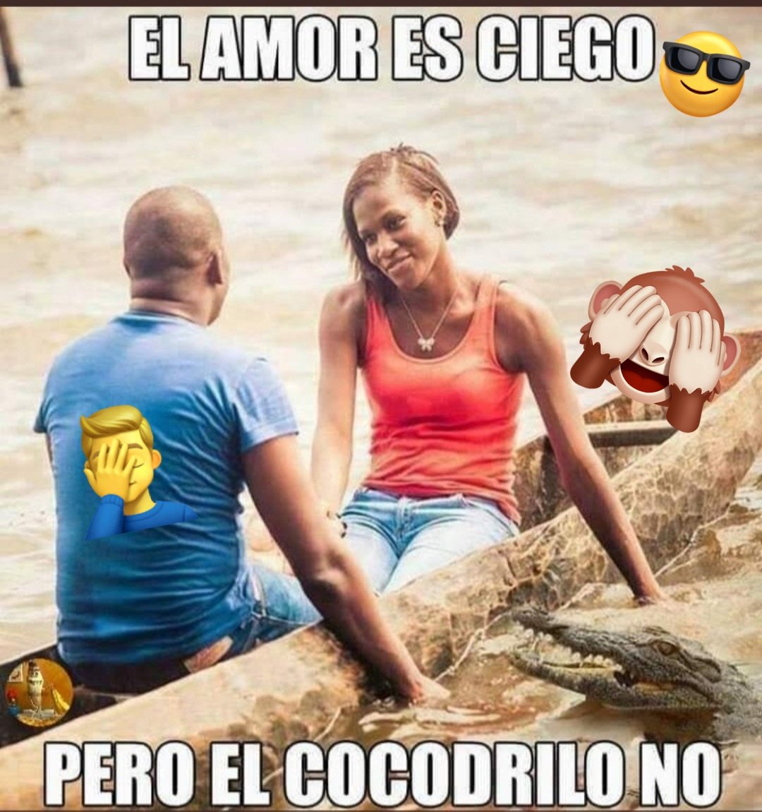 El Amorts, Amorts!😎