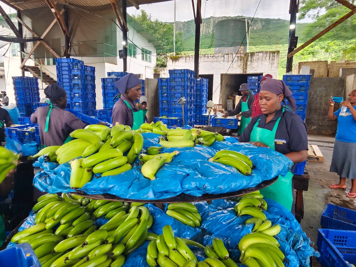 MinofLands,Agric,Fisheries,Water&Rural Development tweet media