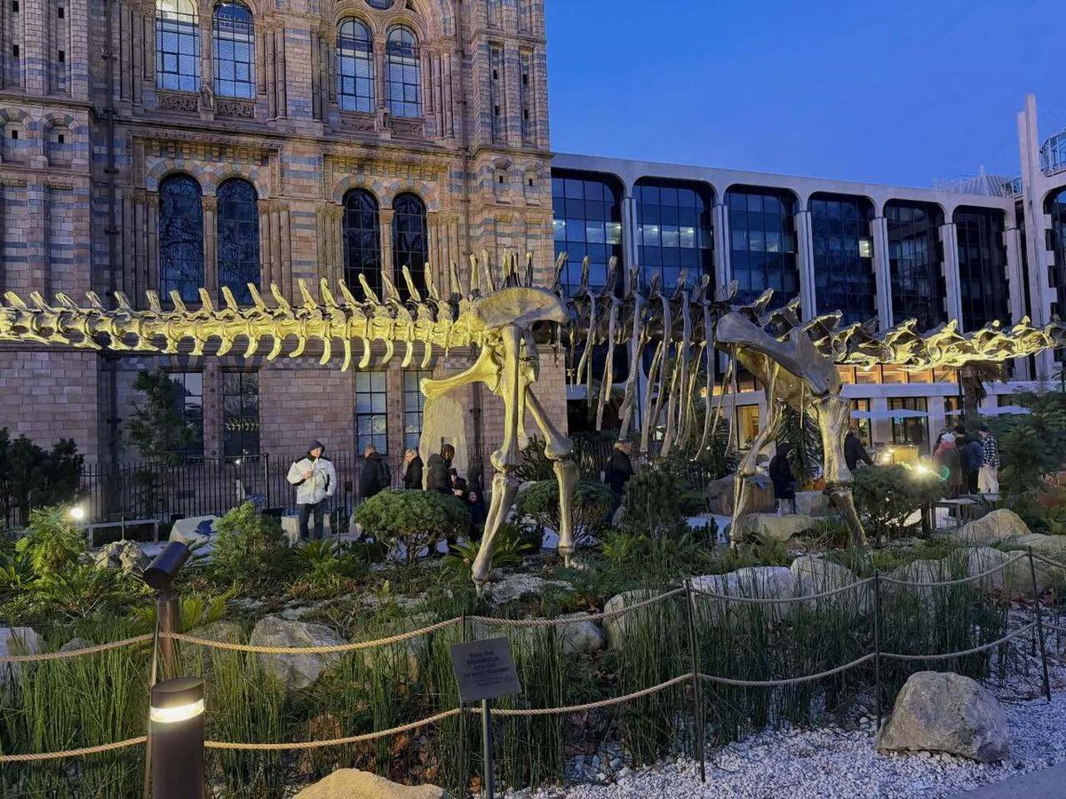Timothy_Hughes's tweet photo. The Natural History Museum - Behind the scenes tour: Spirit Collection @natural_history_museum @nhmlondon @nhm_london #naturalhistory #naturalhistorymuseum #londonmuseum #museumlondon #behindthescenes #spiritcollection #naturalworld #London #southkensing… https://t.co/lLADuzBapY https://t.co/JNIW8Pr8Id