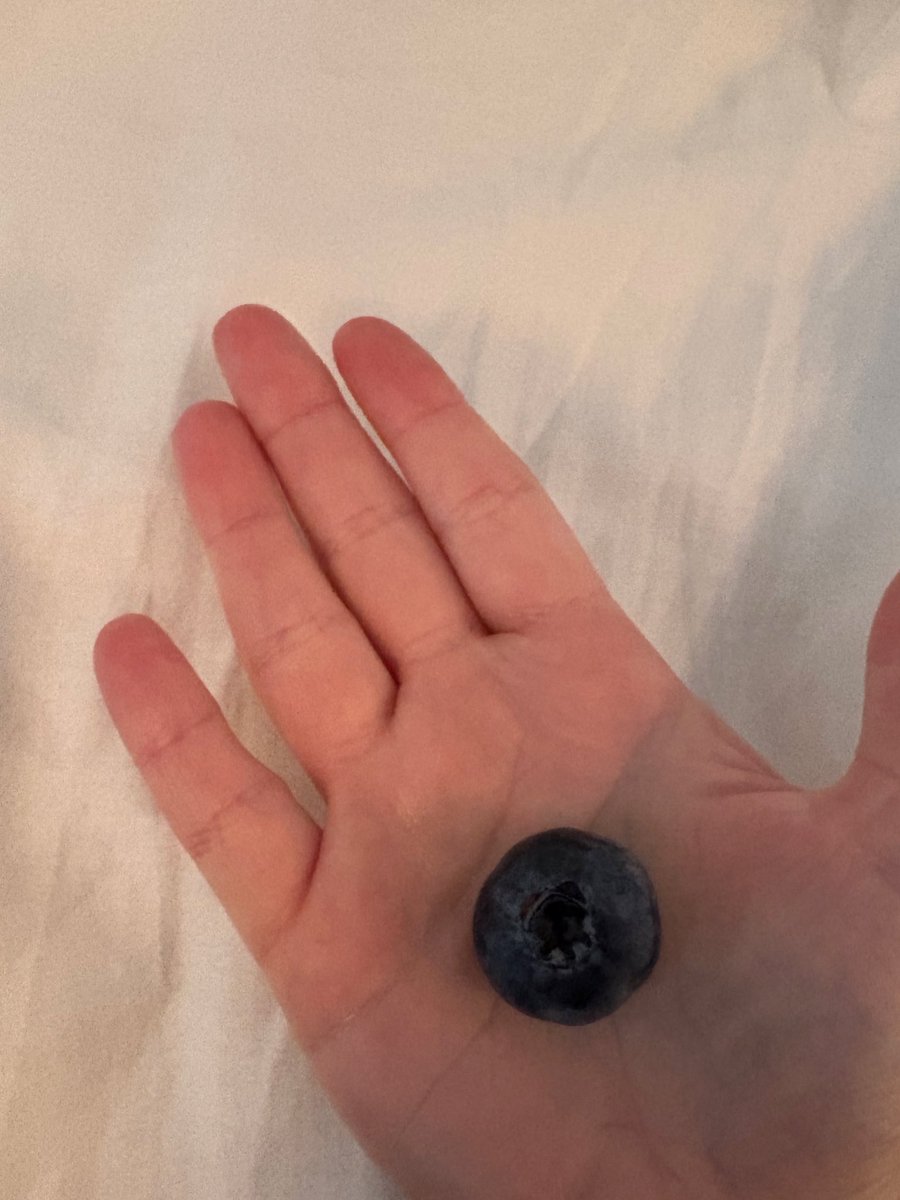 Tea čozy 🍊 tweet media