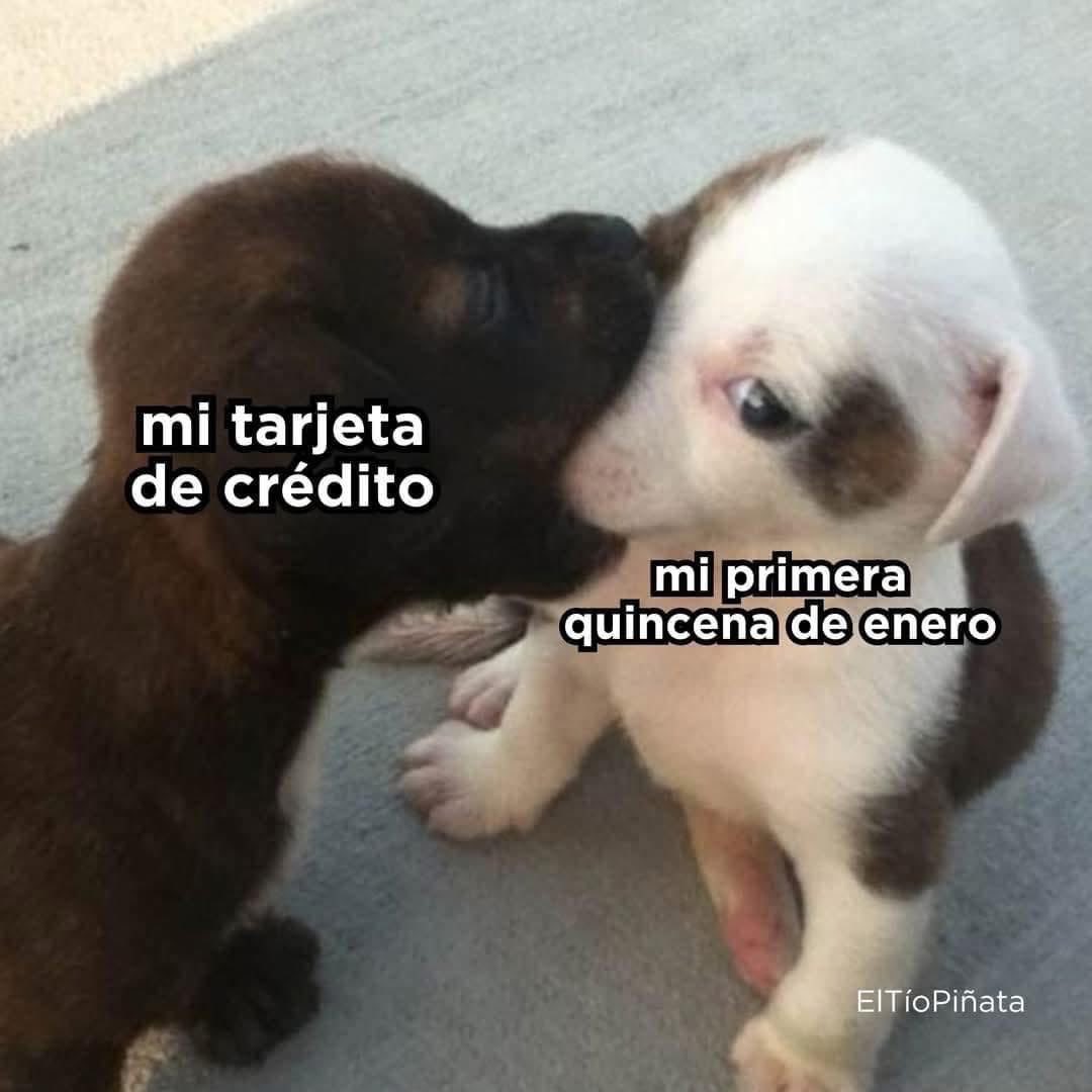 Javisness's tweet image. 