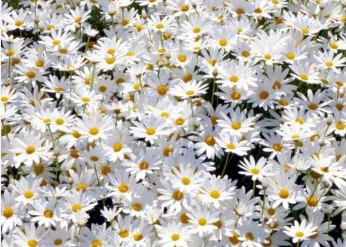 阪神淡路大震災から31年
失われた尊い命、ご冥福お祈りいたします
阪神淡路大震災を体験した森本ケンタさんが歌う
「震えた朝に」
youtu.be/tX1fm2Dy4KU
#森本ケンタ　#阪神淡路大震災