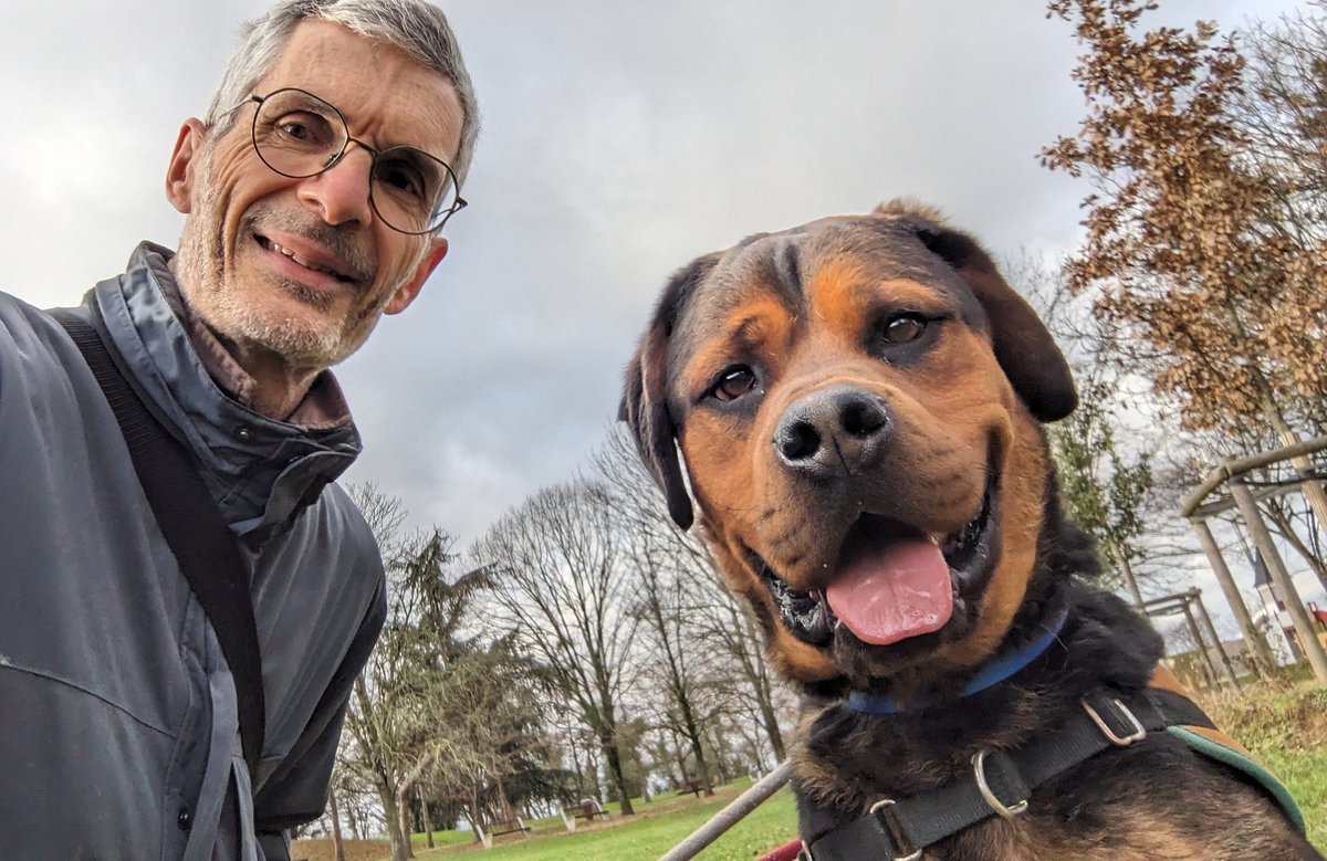 😱 Troisième abandon pour Youki 😱

Le 4ème adoptant devra  bien étudier le caractère de ce magnifique toutou avant de se décider ... on ne veut pas d'un 4ème abandon, compris 😡 ?
#AdoptDontShop
#spa #gennevilliers
la-spa.fr/animal/youki-7…