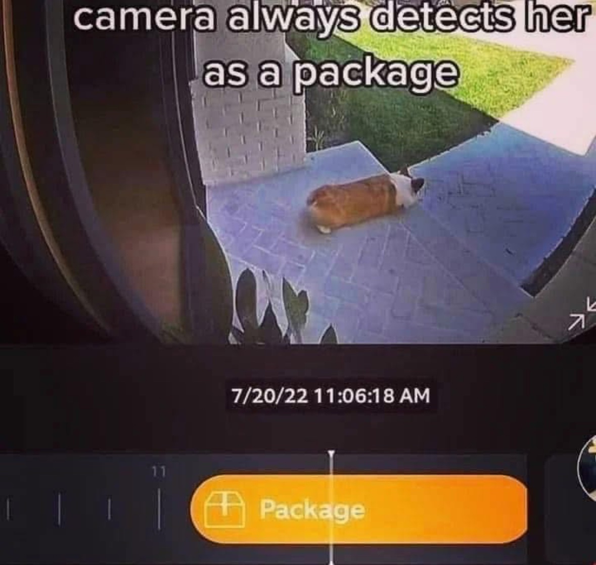 Respectful Memes (@respectfulmemes) on Twitter photo 