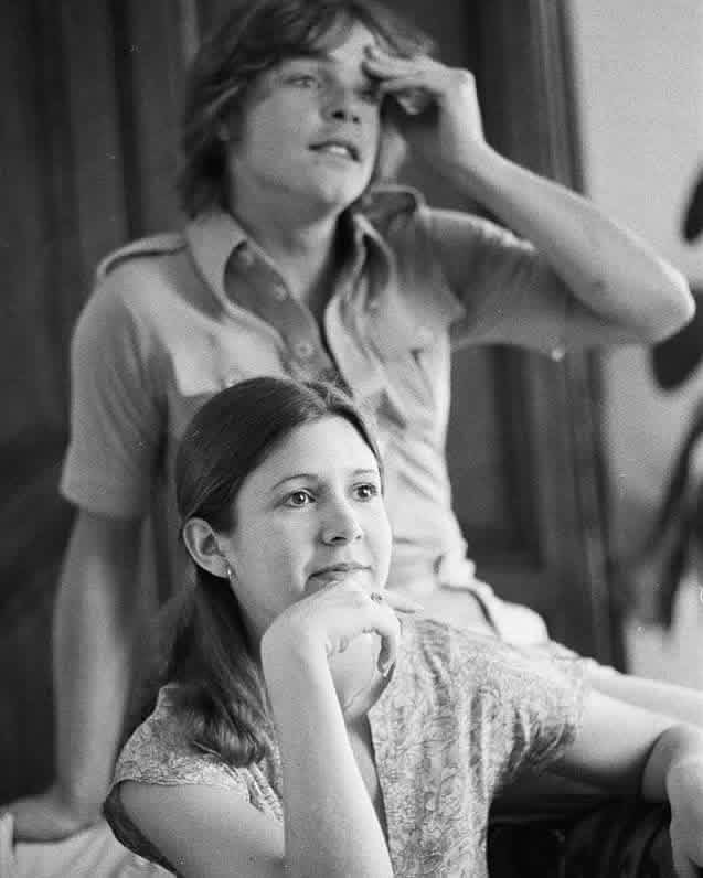 Alena McCaffrey tweet media