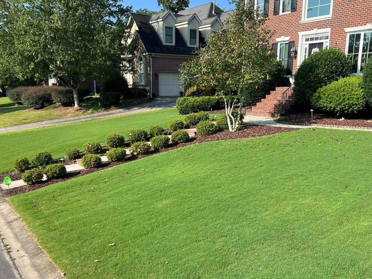 Carolina Turf Lawn and Landscape tweet media