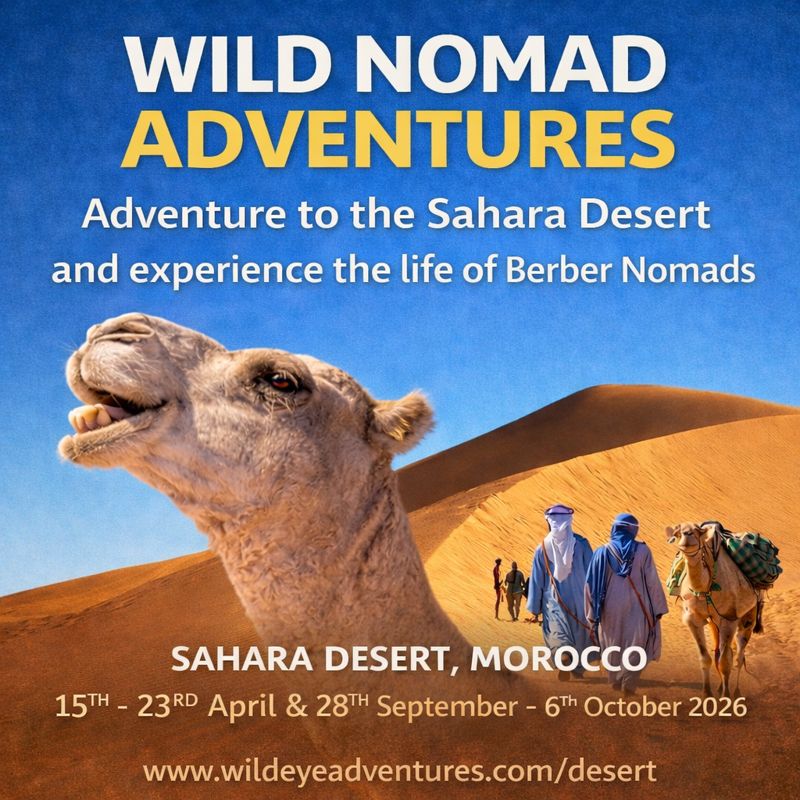NatureWildeye's tweet photo. SAHARA DESERT ADVENTURE ✨

LOCATION: 📍 Sahara Desert #Morocco
DATES: 📷 15–23 April 2026 | 28 Sept–6 Oct 2026  

Visit website: https://t.co/lGb4RFDYIM

#outdooradventures #AdventureTravel #adventure #traveling #Desert #DesertTour #sahara #explorer #travelbug #SaharaDesert https://t.co/HDrxGunQK4