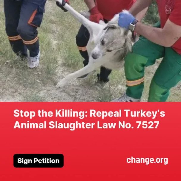 Please sign the <a href="/DogDeskAction/">Dog Desk Animal Action</a> petition and help save the #dogs 🙏

Together we can #SaveTurkeysDogs and stop the killing 💔😢

#dogs #Turkey
#WeekendVibes
✍️ ⬇️ ⬇️ 

change.org/p/tell-turkey-…