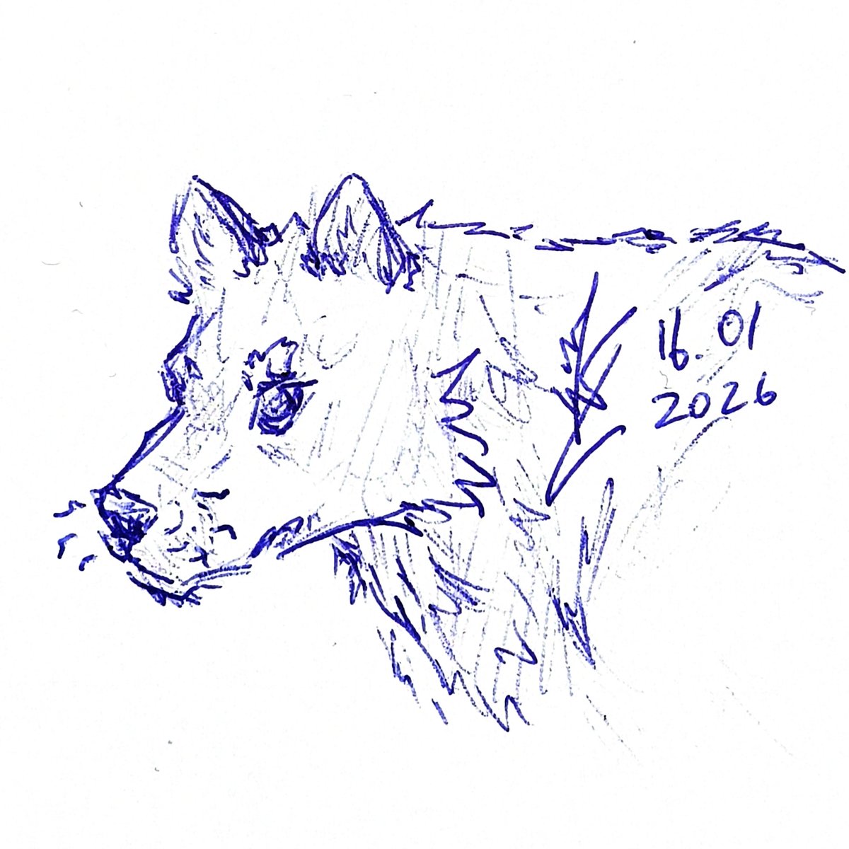 Woolfie is wolfing
Wolfpack

In one day,
I'll make a wolf sticker pack....