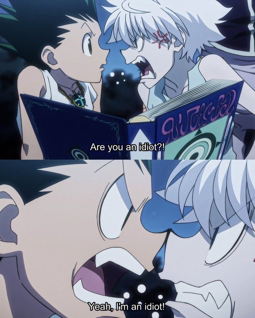 Hunter x Hunter Perfect Shots tweet media