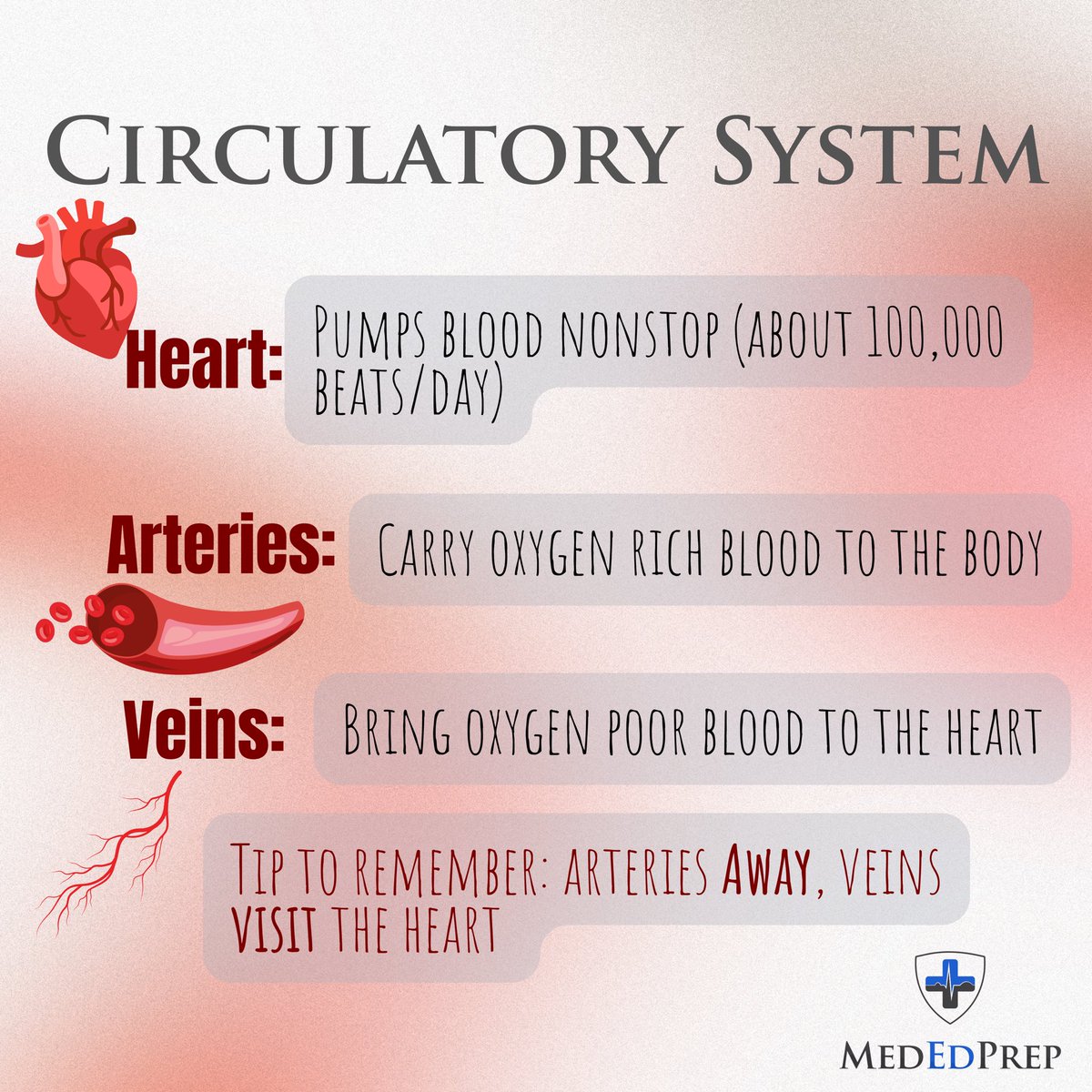 MedEdPrep tweet media