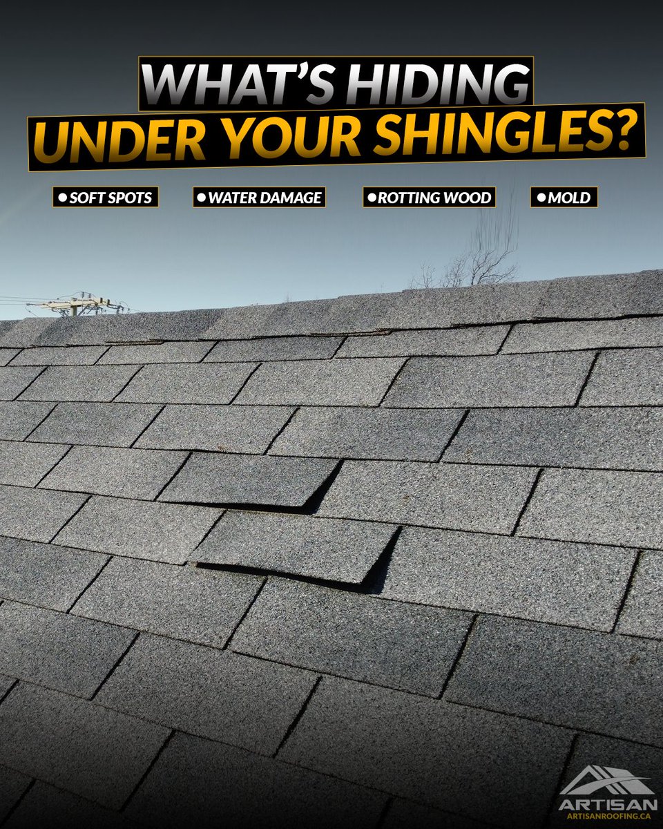art1sanroofing's tweet image. What you can’t see can cost you the most. 👀
Soft spots, water damage, rotting wood, even mold - all hiding under worn shingles.

Don’t wait for a leak to find out. Protect your home from the top down. 

#RoofingTips #HomeMaintenance #HiddenDamage #ArtisanRoofing #ProtectYourHome