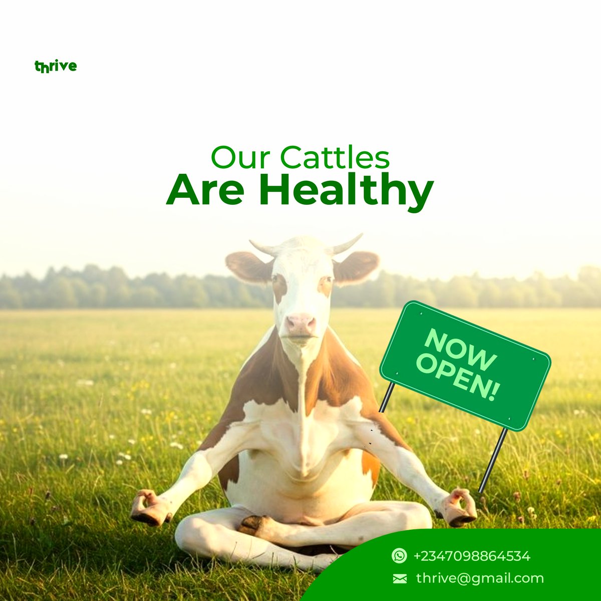 The Krea_teev ■◇ tweet media