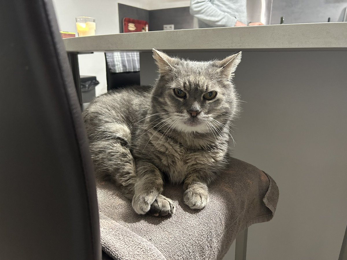 isaure ཐི༏ཋྀ󠀮 tweet media