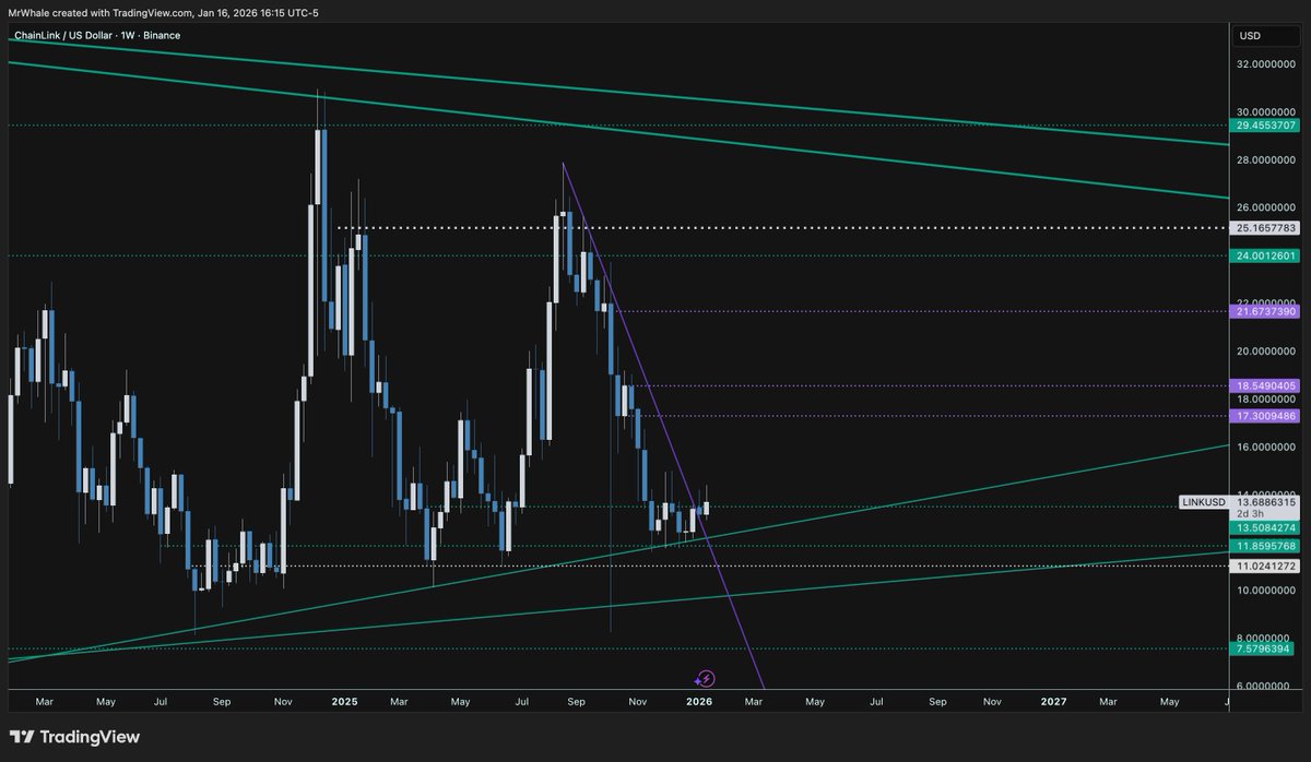 Chainlink looking prime rib eye halal steak $link #link #Chainlink