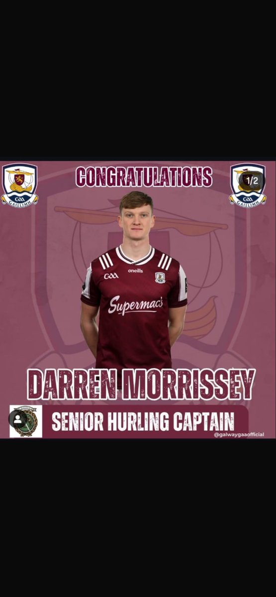 Sarsfields GAA tweet media