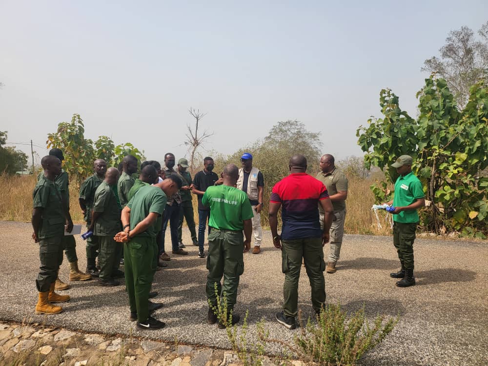 FAO in Ghana tweet media
