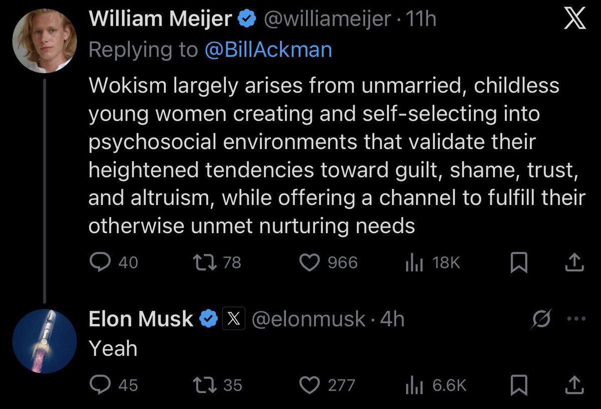 They figured out what is causing all this wokeness and you’ll never believe it: it’s women having rights