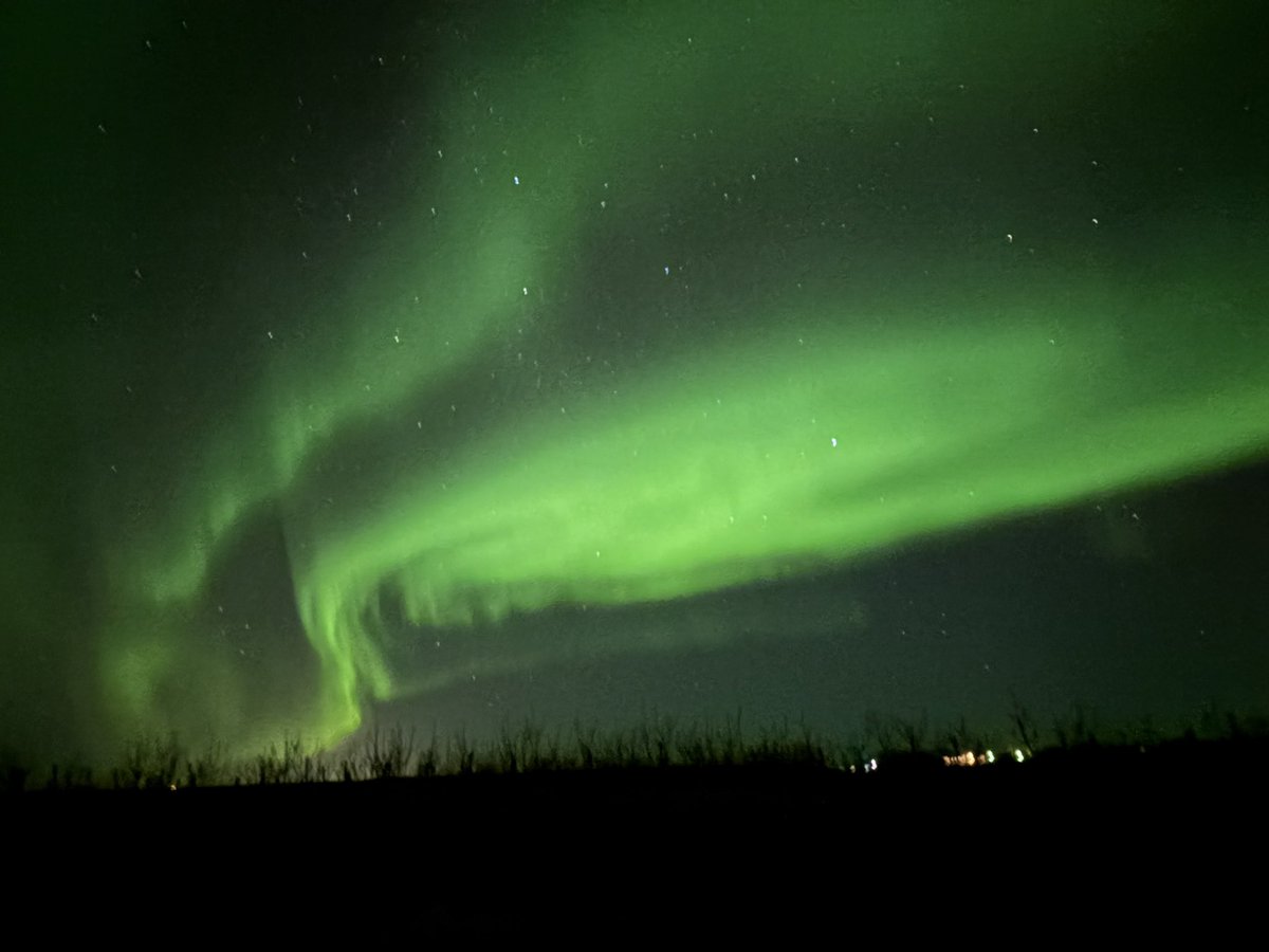 RonNimrod's tweet image. הסנטר קפוא, אבל שווה את זה.