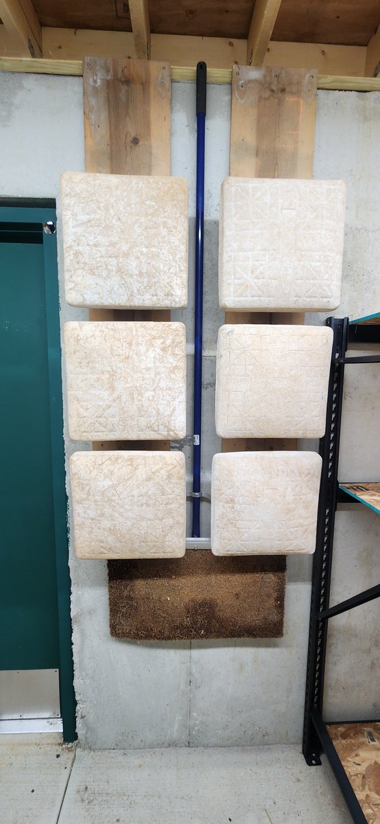 StPatrickGuy tweet media