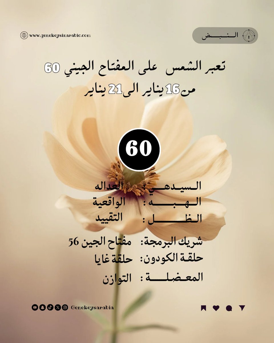 تعبّر الشمس على المفتاح الجيني 60
من 16 يناير إلى 21 يناير
​السيدهي: العدالة
​الهبة: الواقعية
​الظل: التقييد
​شريك البرمجة: مفتاح الجين 56
​حلقة الكودون: حلقة غايا
​المعضلة: التوازن