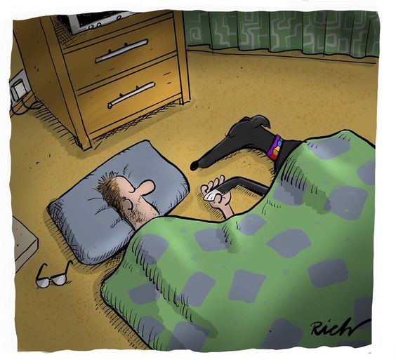 When our babies don't feel well ...