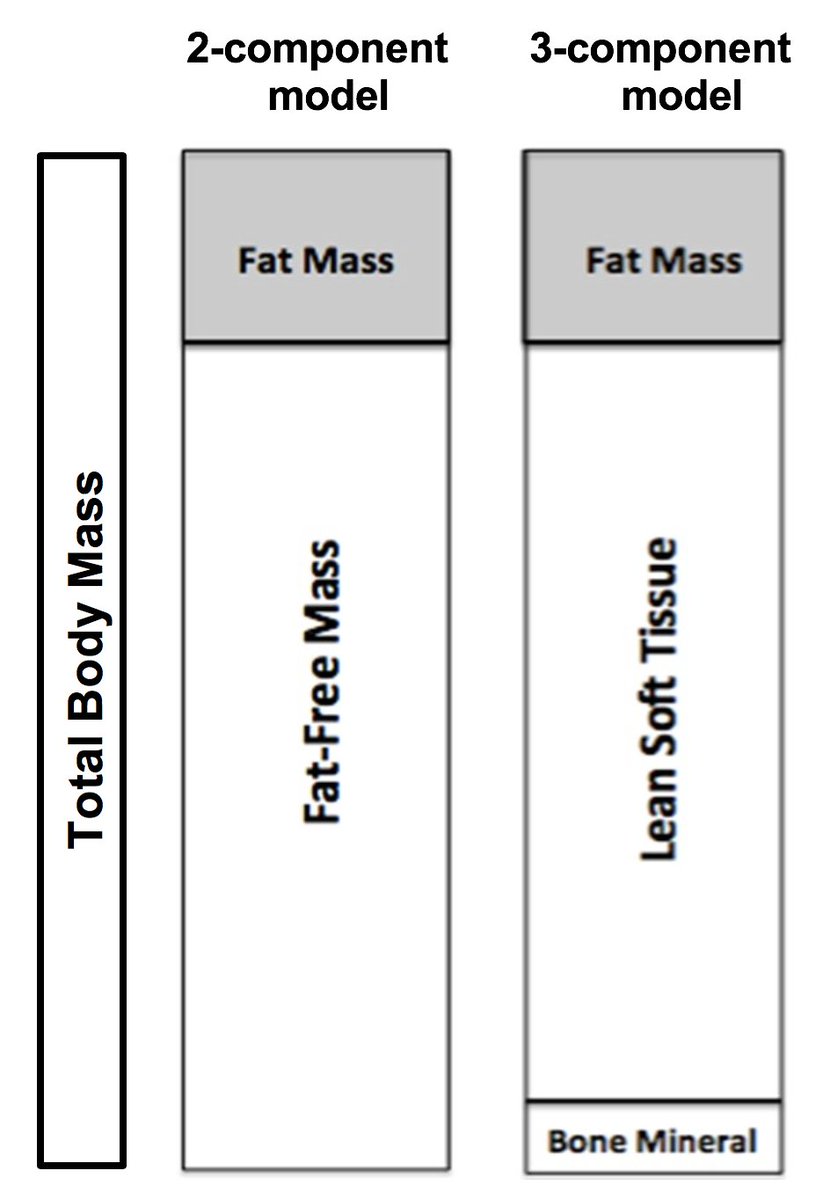 DEXalytics's tweet photo. Is it lean soft tissue or fat-free mass?  The term fat-free mass or lean soft tissue is ultimately dependent upon the methodology used to measure skeletal muscle. Learn more here: https://t.co/t8BCgNqKY4
#DXA #universityresearch #bodycomposition https://t.co/Rg9lbZaaWp