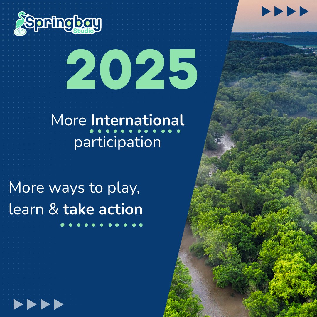 Springbay Studio tweet media