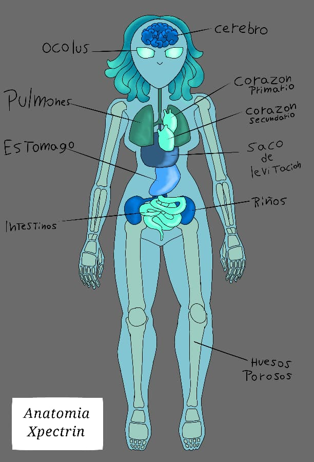 Jasking_Block's tweet image. un dibujo de anatomía alienigena para @Pabloviewer 

espero que te guste bro
