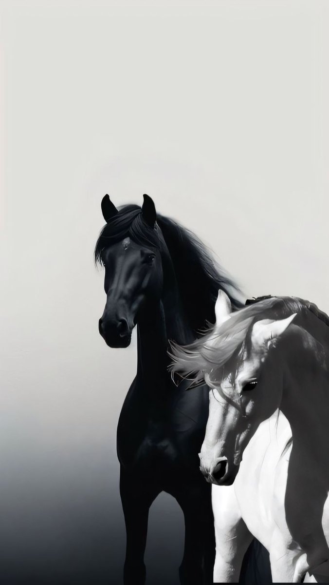 أربعيني زاير جده......