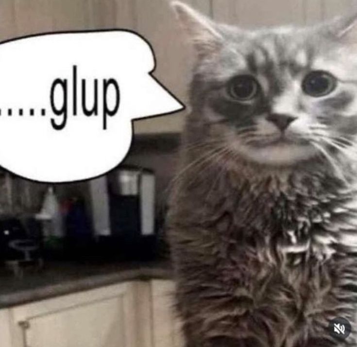 starlightnuu's tweet image. ⋮ ⌗ ┆holis, busco mutis de #anitwt #animetwt  para interactuar ⋮ ⌗ ┆
-tengo 19
- me gusta hxh, shojos, death note, snk, jjk, code geass, fma, orv,  manhwas bl, project sekai, wuwa, robloxito, vns y otras cositas.
no flop que muero 
♡ + ↻ = mutis (˶˃𐃷˂˶)