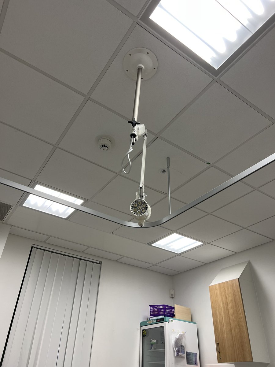 Dougie McCann #MDANT tweet media