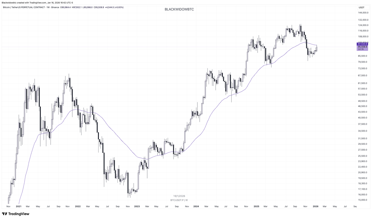 ₿lackwidow 🕷 tweet media
