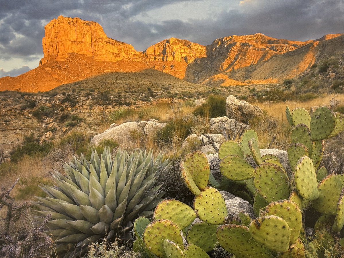 Michael Wang, MD tweet media