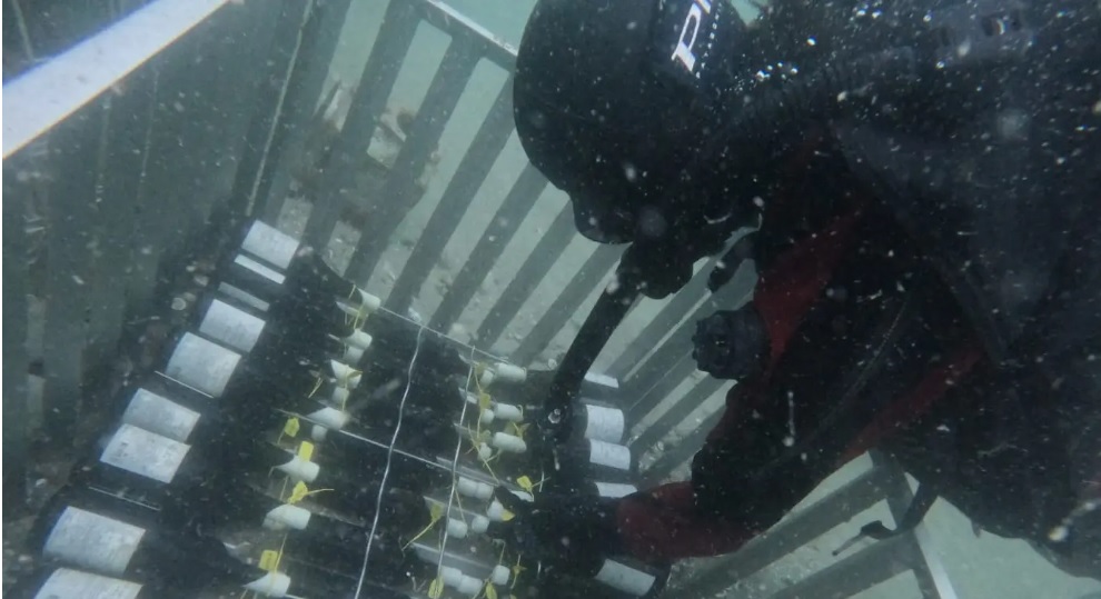 reporterdata's tweet image. La vitivinicultura rionegrina reafirma su lugar en el mapa nacional reporterpatagonia.com/la-vitivinicul…